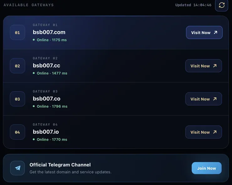 BSB007 backup domain page: gateways bsb007.com, bsb007.cc, bsb007.co, bsb007.io
